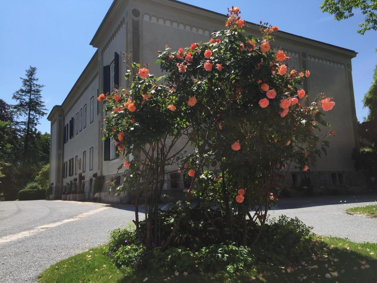 Red Flat By Grazrentals Direct By University & Free Parking Exterior foto